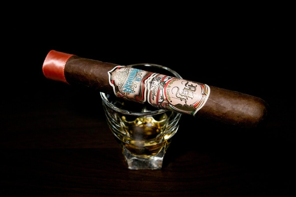 マイファーザー ラ・プロメサ コロナコルダ/My Father La Promesa Corona Gorda Cigar Review｜葉巻/シガー初心者の喫煙レビューブログ｜ギャラリー2
