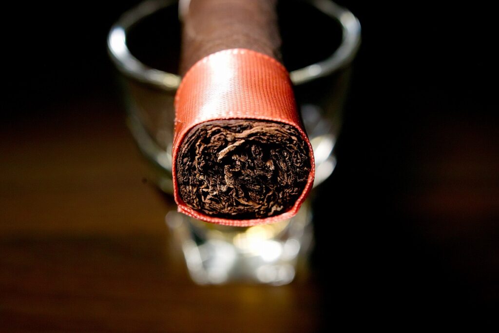 マイファーザー ラ・プロメサ コロナコルダ/My Father La Promesa Corona Gorda Cigar Review｜葉巻/シガー初心者の喫煙レビューブログ｜ギャラリー5
