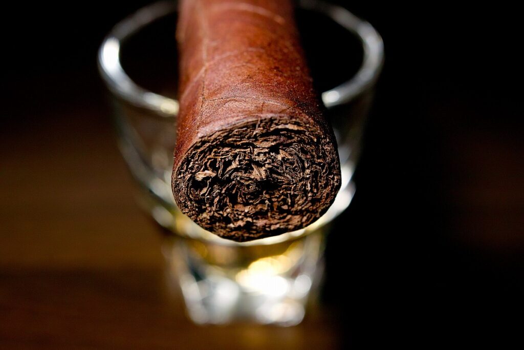 ラ・オーロラ ギレルモ・レオン ロブスト/La Aurora Guillermo Leon Robusto Cigar Review｜葉巻/シガー初心者の喫煙レビューブログ｜ギャラリー5