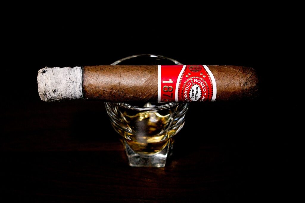 ロメオ Y ジュリエッタ 1875 ブリー/Romeo Y Julieta 1875 Bully Cigar Review｜葉巻/シガー初心者の喫煙レビューブログ｜喫煙序盤の終わり頃ファーストサード