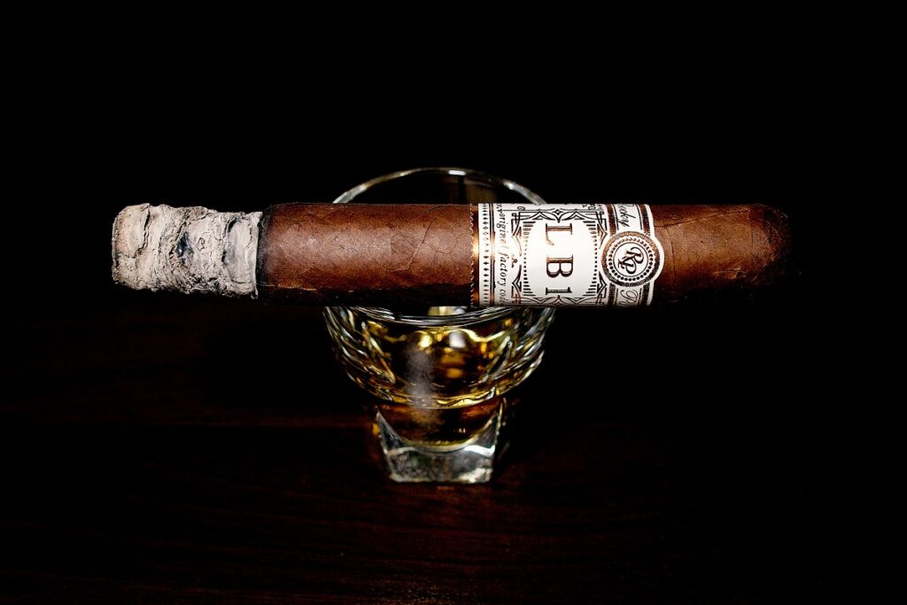 ロッキーパテル LB1 ロブスト/Rocky Patel LB1 Robusto Cigar Review|葉巻/シガー初心者の喫煙レビューブログ|喫煙序盤の終わり頃ファーストサード