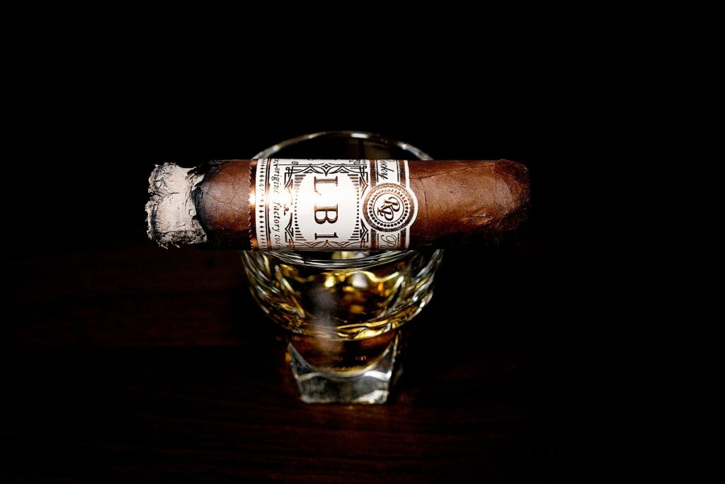 ロッキーパテル LB1 ロブスト/Rocky Patel LB1 Robusto Cigar Review|葉巻/シガー初心者の喫煙レビューブログ|喫煙終盤ファイナルサード