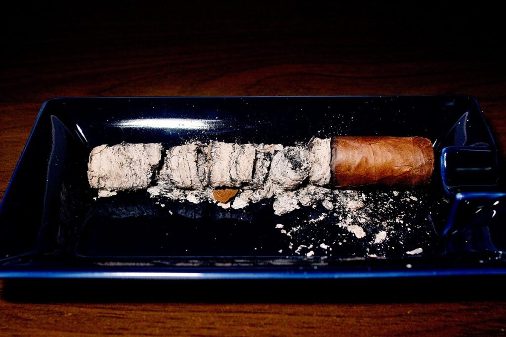 ロッキーパテル LB1 ロブスト/Rocky Patel LB1 Robusto Cigar Review|葉巻/シガー初心者の喫煙レビューブログ|喫煙終了後ファイナルアッシュ