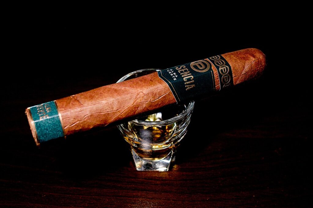 プラセンシア アルマフエルテ シクスト1世/Plasencia Alma Fuerte Colorado Claro Sixto I Cigar Review｜葉巻/シガー初心者の喫煙レビューブログ｜ギャラリー3
