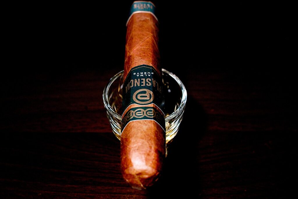 プラセンシア アルマフエルテ シクスト1世/Plasencia Alma Fuerte Colorado Claro Sixto I Cigar Review｜葉巻/シガー初心者の喫煙レビューブログ｜ギャラリー4