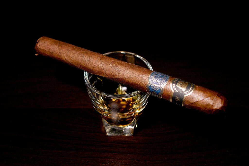 ガーディアン・オブ・ザ・ファーム アポロ・セレクシオン・デ・ワープト/Guardian of the Farm Apollo Seleccion de Warped Cigar Review｜葉巻/シガー初心者の喫煙レビューブログ｜ギャラリー2