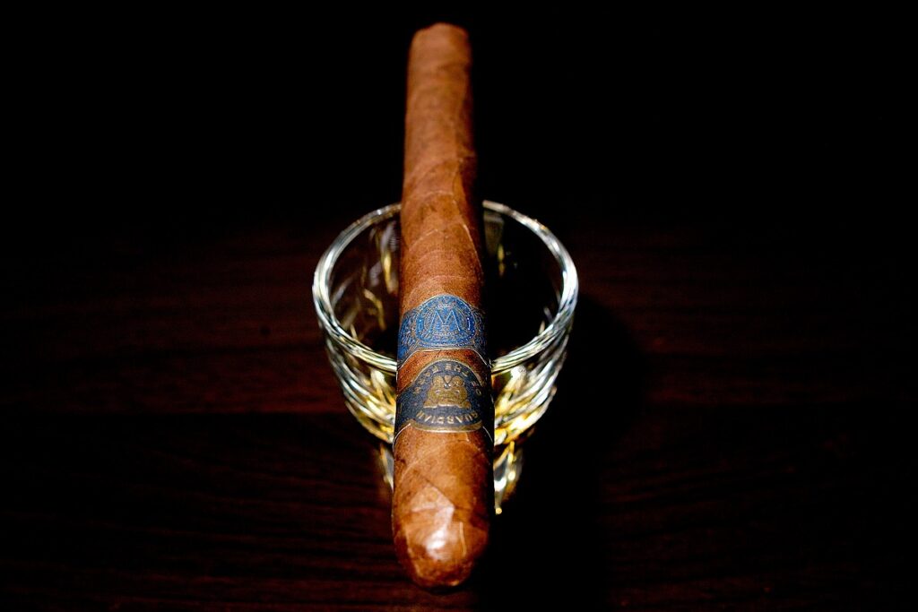 ガーディアン・オブ・ザ・ファーム アポロ・セレクシオン・デ・ワープト/Guardian of the Farm Apollo Seleccion de Warped Cigar Review｜葉巻/シガー初心者の喫煙レビューブログ｜ギャラリー4