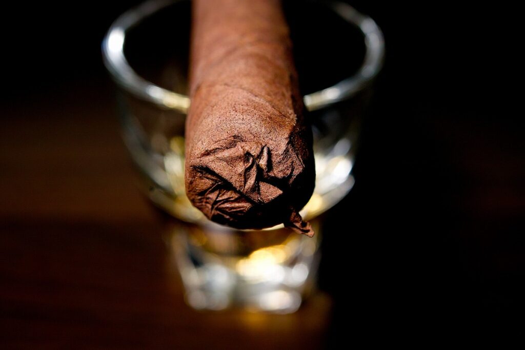 ガーディアン・オブ・ザ・ファーム アポロ・セレクシオン・デ・ワープト/Guardian of the Farm Apollo Seleccion de Warped Cigar Review｜葉巻/シガー初心者の喫煙レビューブログ｜ギャラリー5
