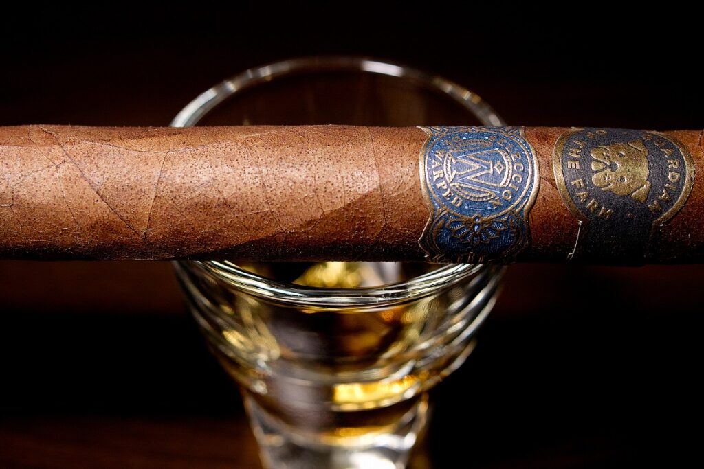 ガーディアン・オブ・ザ・ファーム アポロ・セレクシオン・デ・ワープト/Guardian of the Farm Apollo Seleccion de Warped Cigar Review｜葉巻/シガー初心者の喫煙レビューブログ｜ギャラリー6