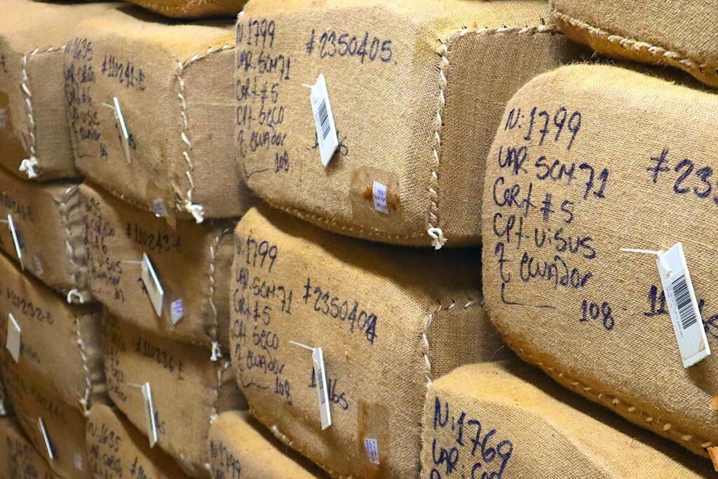 タバコ葉の熟成方法からヒントを得た葉巻の自家製発酵器熟成とは？｜自家製発酵器熟成｜葉巻熟成方法とその考え方