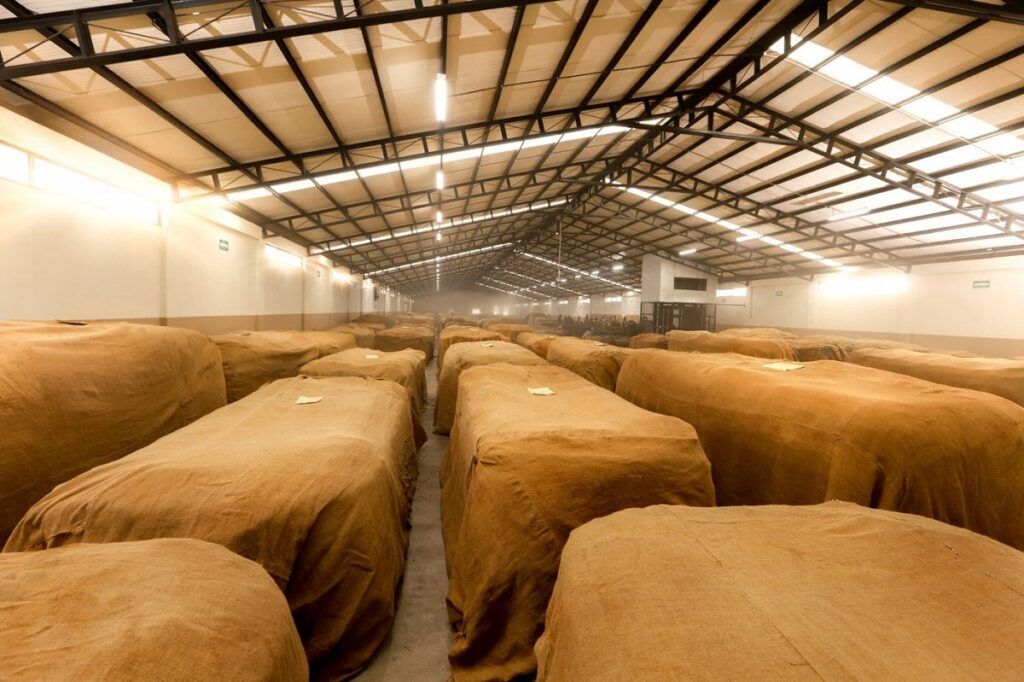 タバコ葉を発酵させるための条件とは？｜自家製発酵器熟成｜葉巻熟成方法とその考え方2