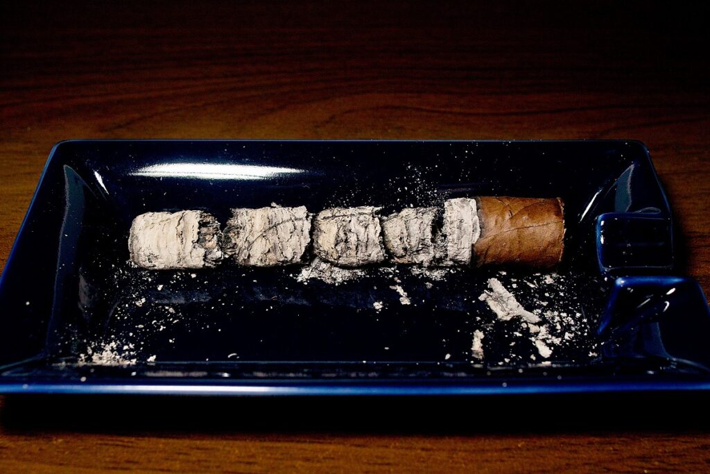 マイファーザー ラ・プロメサ コロナコルダ/My Father La Promesa Corona Gorda Cigar Review｜葉巻/シガー初心者の喫煙レビューブログ｜喫煙終了後ファイナルアッシュ