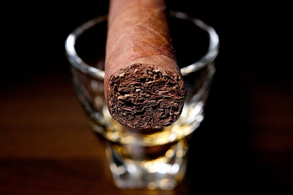 タトゥアヘ セリーP ホンジュラス ロブスト/Tatuaje Series P Honduras Robusto Cigar Review｜葉巻/シガー初心者の喫煙レビューブログ｜ギャラリー5