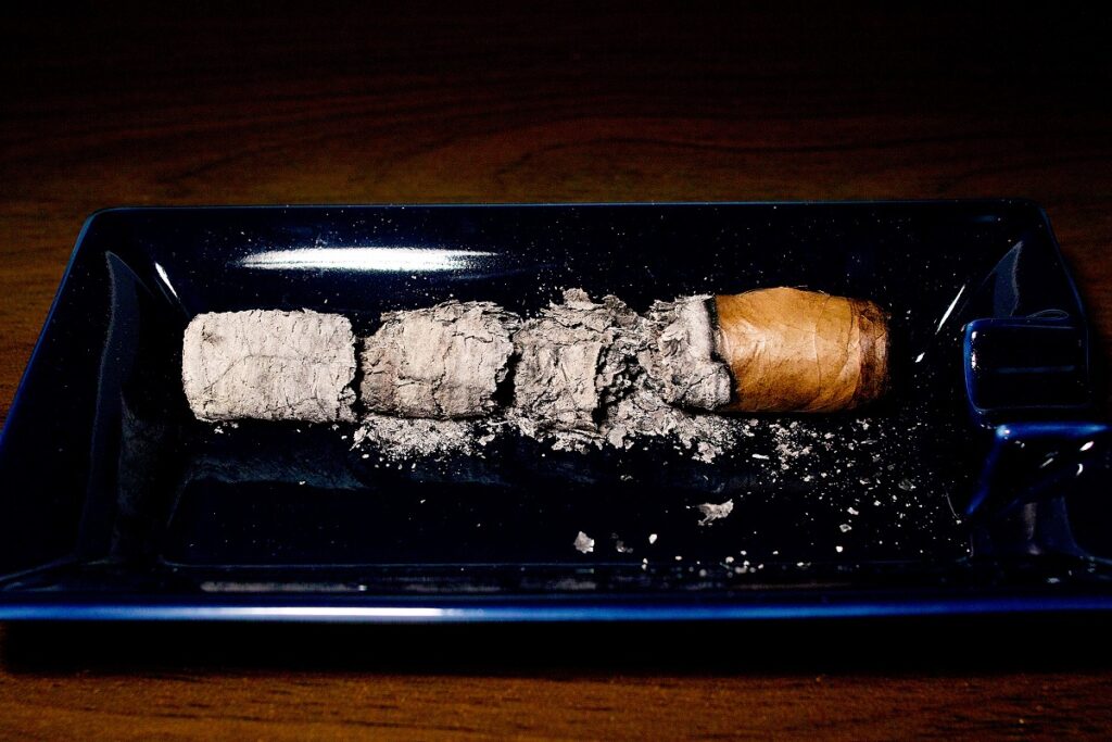 ラ・リカ ロブスト/La Rica Robusto Tubos Cigar Review｜葉巻/シガー初心者の喫煙レビューブログ｜喫煙終了後ファイナルアッシュ