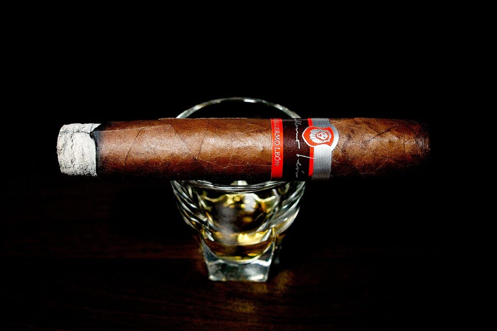ラ・オーロラ ギレルモ・レオン ロブスト/La Aurora Guillermo Leon Robusto Cigar Review｜葉巻/シガー初心者の喫煙レビューブログ｜喫煙序盤ファーストサード