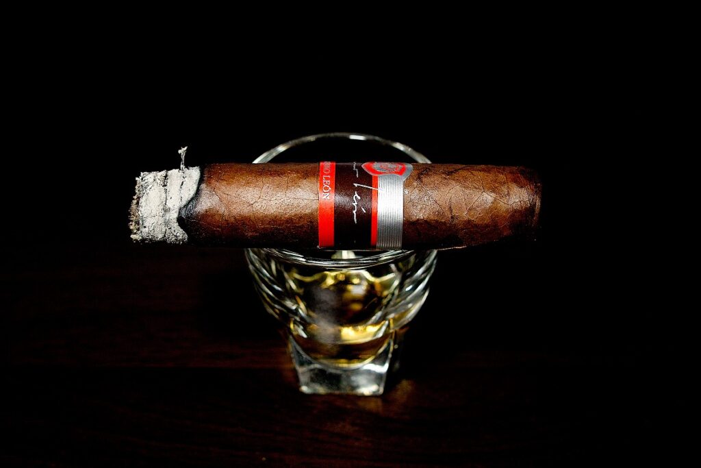ラ・オーロラ ギレルモ・レオン ロブスト/La Aurora Guillermo Leon Robusto Cigar Review｜葉巻/シガー初心者の喫煙レビューブログ｜喫煙中盤セカンドサード