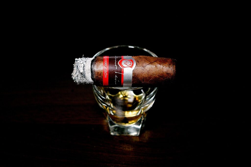 ラ・オーロラ ギレルモ・レオン ロブスト/La Aurora Guillermo Leon Robusto Cigar Review｜葉巻/シガー初心者の喫煙レビューブログ｜喫煙終盤ファイナルサード