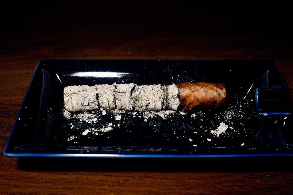 ラ・オーロラ ギレルモ・レオン ロブスト/La Aurora Guillermo Leon Robusto Cigar Review｜葉巻/シガー初心者の喫煙レビューブログ｜喫煙終了後ファイナルアッシュ