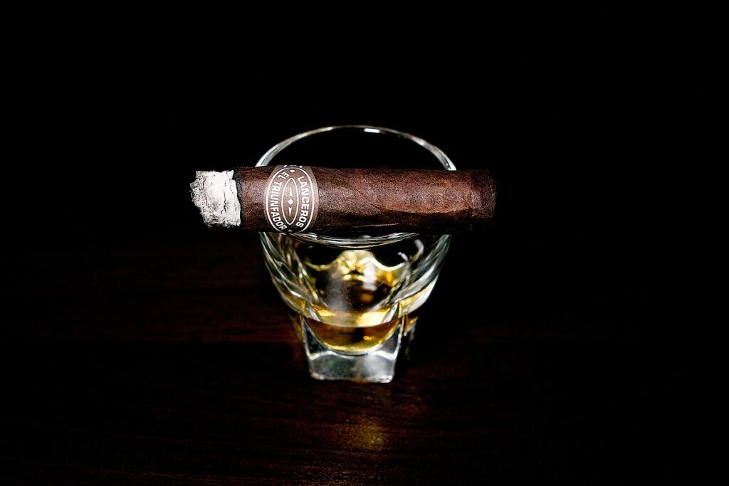 タトゥアヘ エル・トリウンファドール ランセロ オリジナル/Tatuaje El Triunfador Lancero Original Cigar Review｜葉巻/シガー初心者の喫煙レビューブログ｜喫煙終盤ファイナルサード