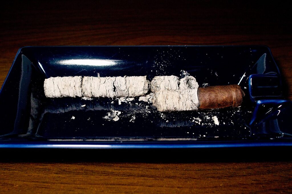タトゥアヘ エル・トリウンファドール ランセロ オリジナル/Tatuaje El Triunfador Lancero Original Cigar Review｜葉巻/シガー初心者の喫煙レビューブログ｜喫煙終了後ファイナルアッシュ