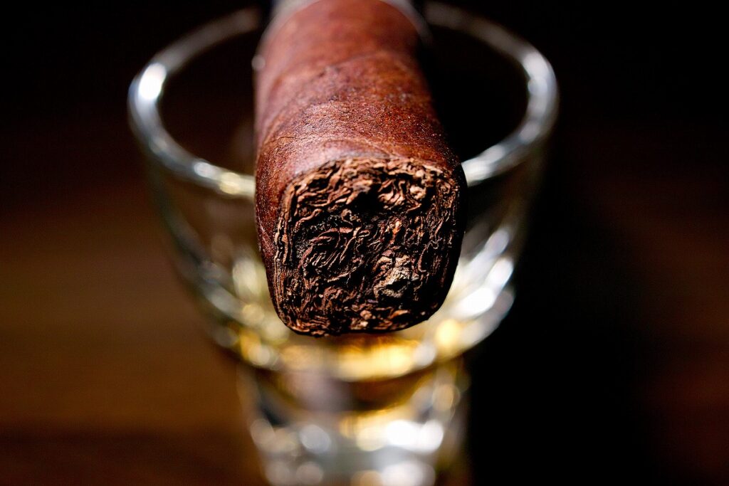 ミロ ショートロブスト/Kuuts Miro Short Robusto Cigar Review｜葉巻/シガー初心者の喫煙レビューブログ｜ギャラリー6