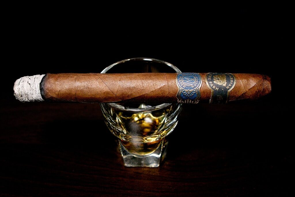 ガーディアン・オブ・ザ・ファーム アポロ・セレクシオン・デ・ワープト/Guardian of the Farm Apollo Seleccion de Warped Cigar Review|葉巻/シガー初心者の喫煙レビューブログ|喫煙序盤ファーストサード