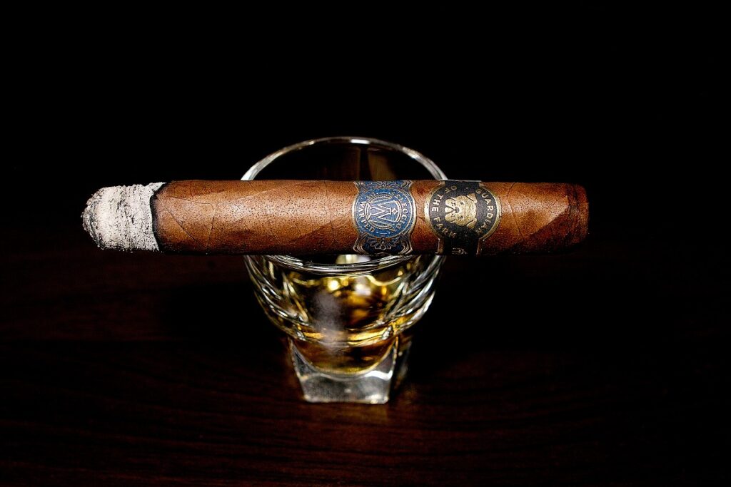 ガーディアン・オブ・ザ・ファーム アポロ・セレクシオン・デ・ワープト/Guardian of the Farm Apollo Seleccion de Warped Cigar Review|葉巻/シガー初心者の喫煙レビューブログ|喫煙序盤の終わり頃ファーストサード