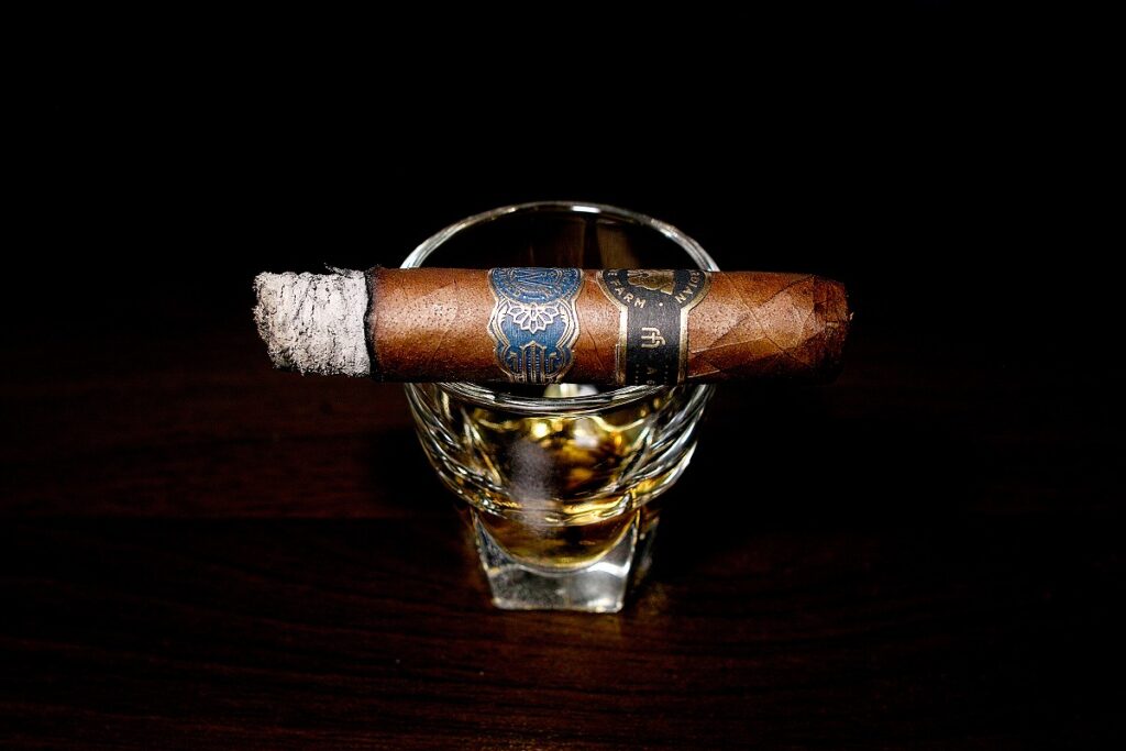 ガーディアン・オブ・ザ・ファーム アポロ・セレクシオン・デ・ワープト/Guardian of the Farm Apollo Seleccion de Warped Cigar Review|葉巻/シガー初心者の喫煙レビューブログ|喫煙中盤セカンドサード