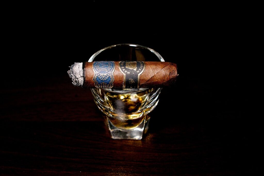 ガーディアン・オブ・ザ・ファーム アポロ・セレクシオン・デ・ワープト/Guardian of the Farm Apollo Seleccion de Warped Cigar Review|葉巻/シガー初心者の喫煙レビューブログ|喫煙終盤ファイナルサード