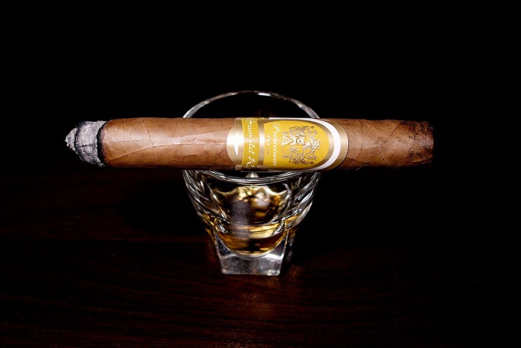 ブルン・デル・レ プレミアム コロナ/Brun del Re Premium Corona Cigar Review｜葉巻/シガー初心者の喫煙レビューブログ｜喫煙序盤の終わり頃ファーストサード