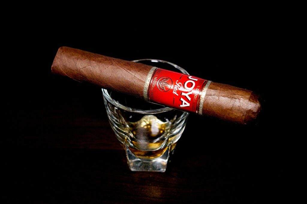 ホヤ・デ・ニカラグア レッド ショートチャーチル/Joya de Nicaragua Red Short Churchill Cigar Review｜葉巻/シガー初心者の喫煙レビューブログ｜ギャラリー2