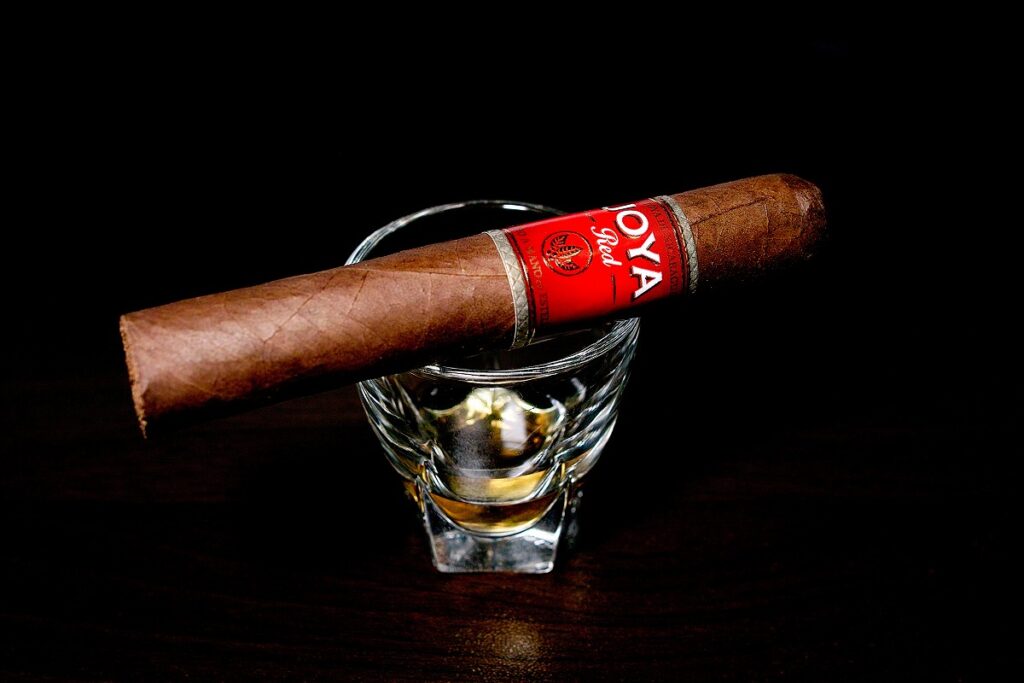 ホヤ・デ・ニカラグア レッド ショートチャーチル/Joya de Nicaragua Red Short Churchill Cigar Review｜葉巻/シガー初心者の喫煙レビューブログ｜ギャラリー3