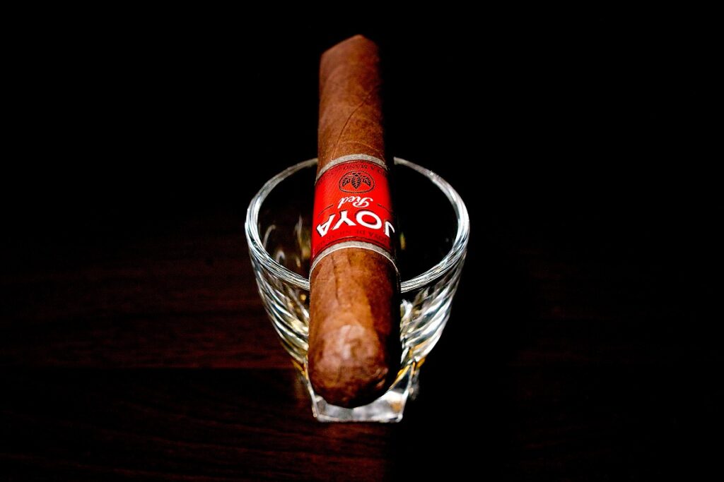 ホヤ・デ・ニカラグア レッド ショートチャーチル/Joya de Nicaragua Red Short Churchill Cigar Review｜葉巻/シガー初心者の喫煙レビューブログ｜ギャラリー4