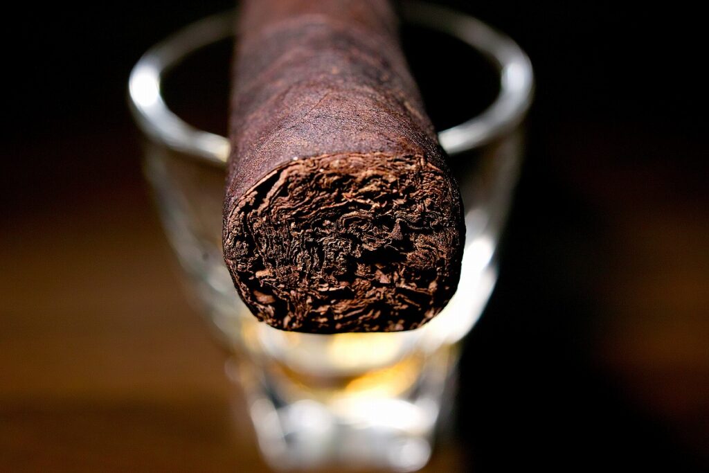 ロッキーパテル ヴィンテージ 1990 ロブスト/Rocky Patel Vintage 1990 Broadleaf Robusto Cigar Review｜葉巻/シガー初心者の喫煙レビューブログ｜ギャラリー5