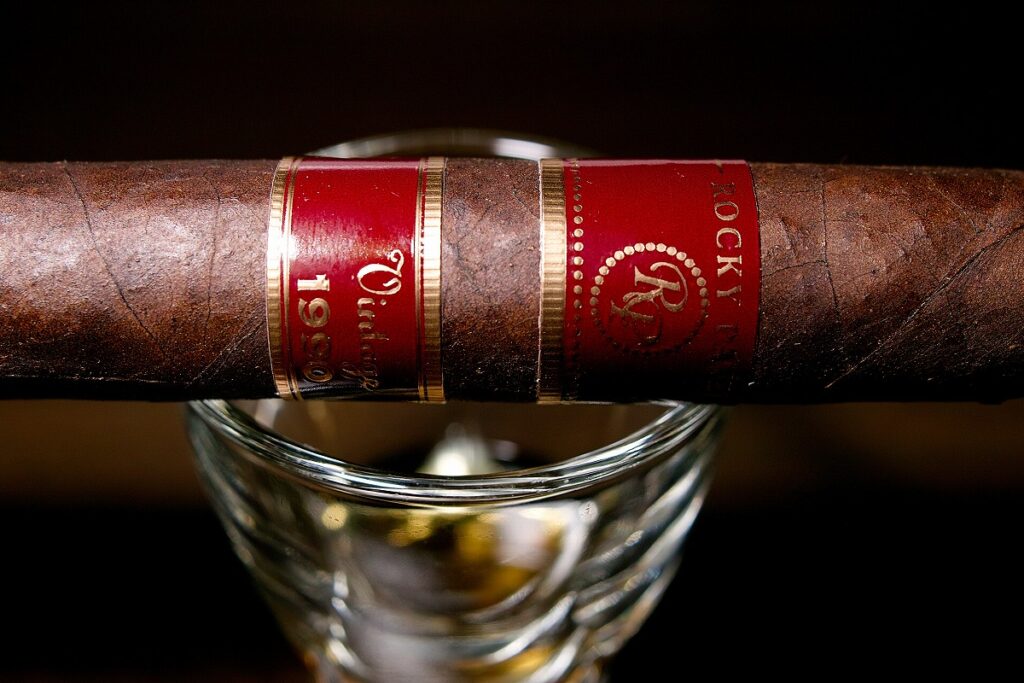 ロッキーパテル ヴィンテージ 1990 ロブスト/Rocky Patel Vintage 1990 Broadleaf Robusto Cigar Review｜葉巻/シガー初心者の喫煙レビューブログ｜ギャラリー6