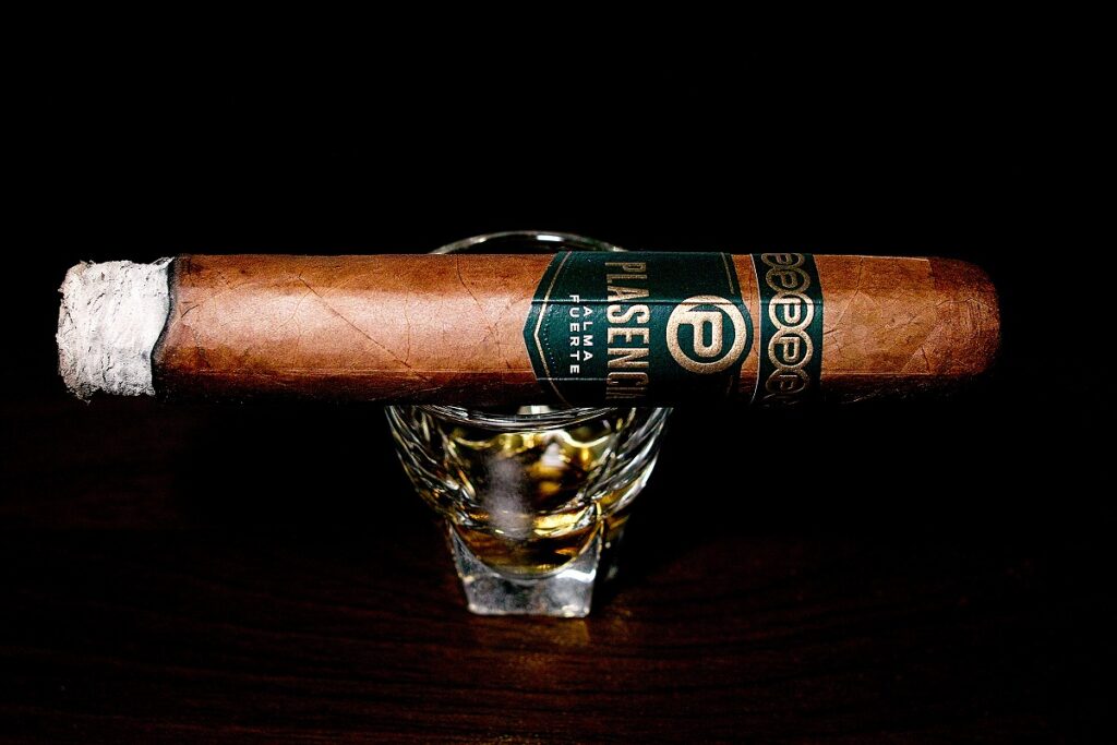 プラセンシア アルマフエルテ シクスト1世/Plasencia Alma Fuerte Colorado Claro Sixto I Cigar Review｜葉巻/シガー初心者の喫煙レビューブログ｜喫煙序盤ファーストサード
