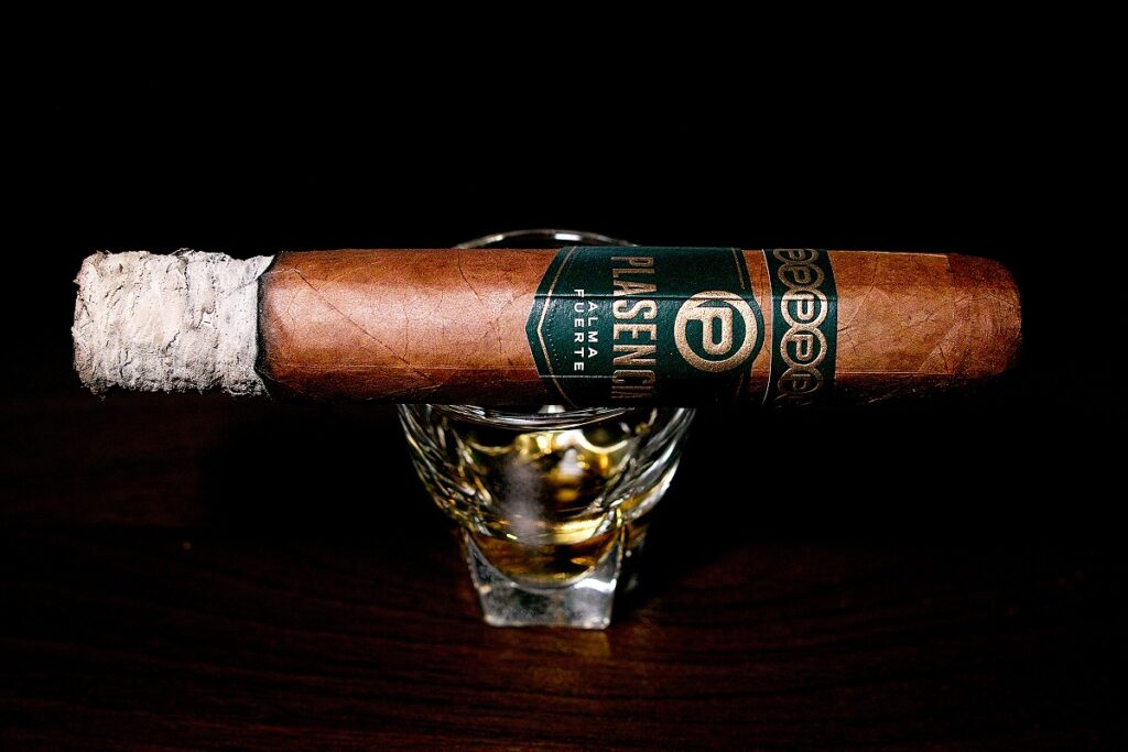 プラセンシア アルマフエルテ シクスト1世/Plasencia Alma Fuerte Colorado Claro Sixto I Cigar Review｜葉巻/シガー初心者の喫煙レビューブログ｜喫煙序盤の終わり頃ファーストサード