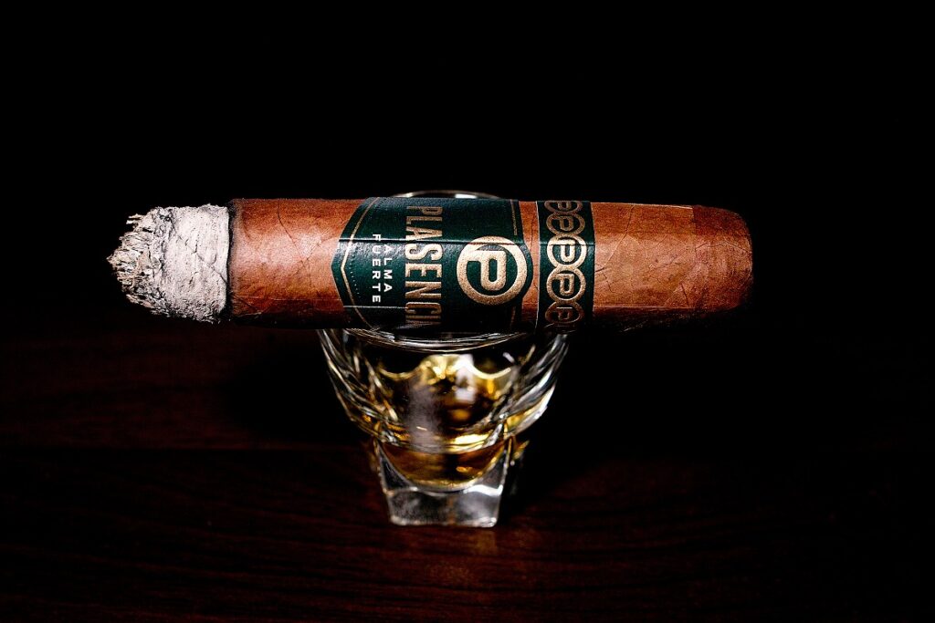プラセンシア アルマフエルテ シクスト1世/Plasencia Alma Fuerte Colorado Claro Sixto I Cigar Review｜葉巻/シガー初心者の喫煙レビューブログ｜喫煙中盤セカンドサード