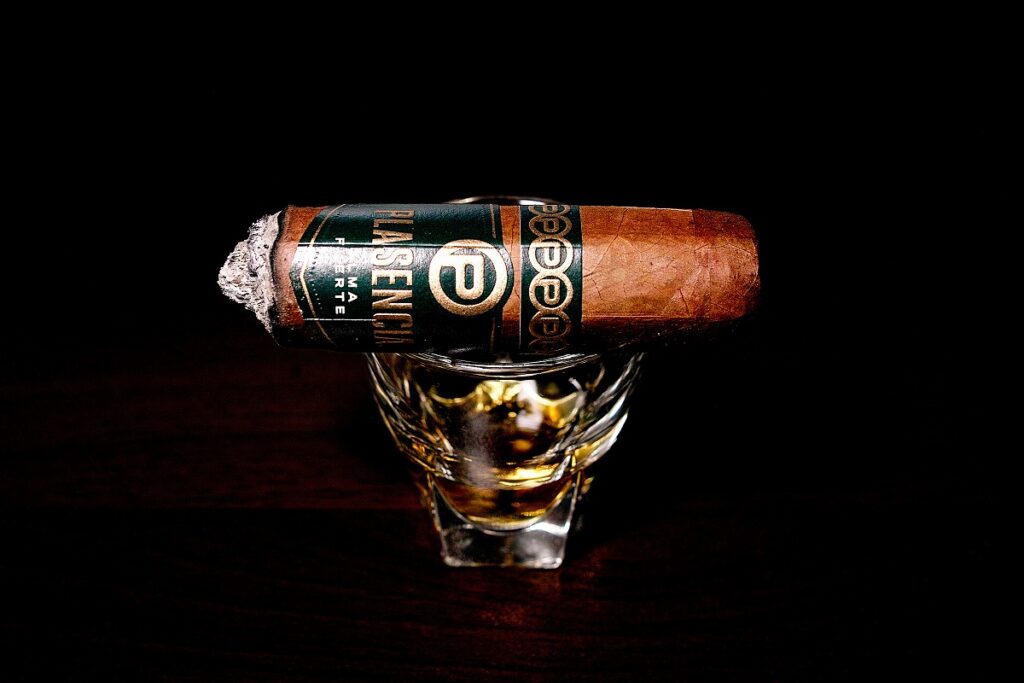プラセンシア アルマフエルテ シクスト1世/Plasencia Alma Fuerte Colorado Claro Sixto I Cigar Review｜葉巻/シガー初心者の喫煙レビューブログ｜喫煙終盤ファイナルサード