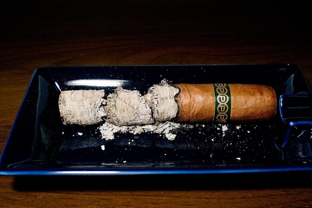プラセンシア アルマフエルテ シクスト1世/Plasencia Alma Fuerte Colorado Claro Sixto I Cigar Review｜葉巻/シガー初心者の喫煙レビューブログ｜喫煙終了後ファイナルアッシュ