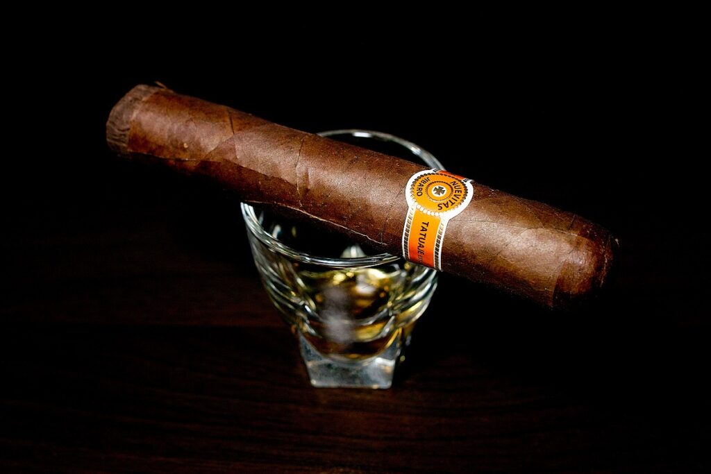 タトゥアヘ ヌエビタス ヒバロ No.1/Tatuaje Nuevitas Jibaro No.1 Cigar Review｜葉巻/シガー初心者の喫煙レビューブログ｜ギャラリー2