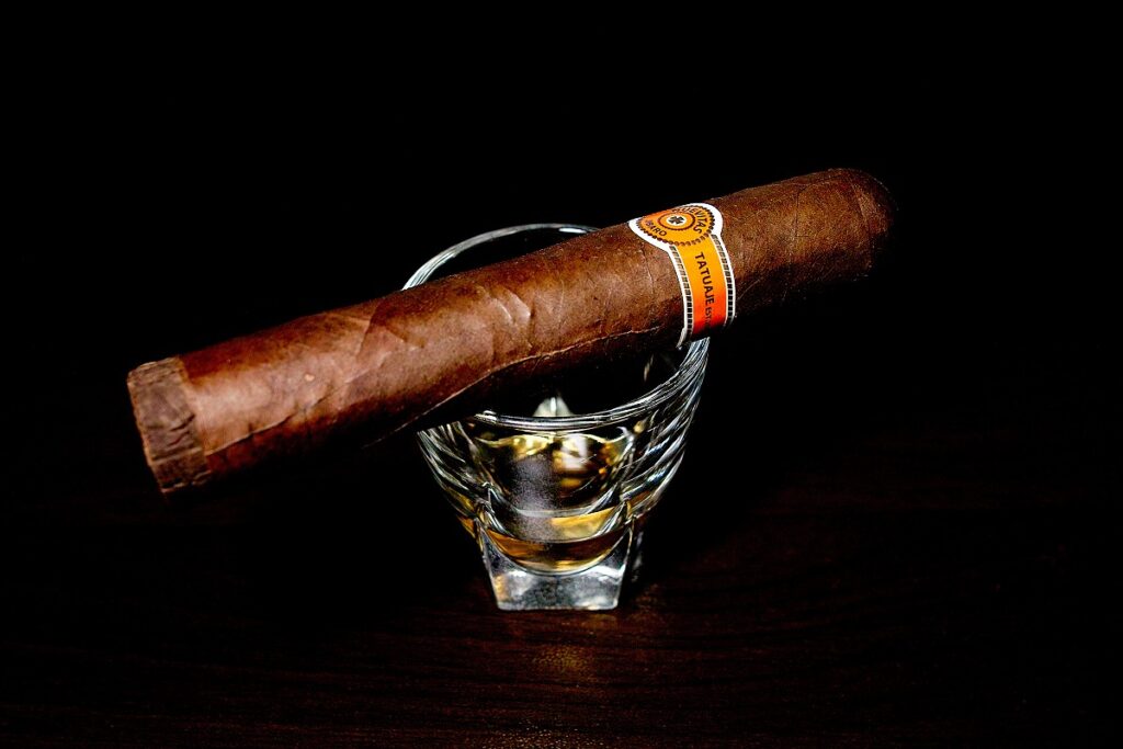 タトゥアヘ ヌエビタス ヒバロ No.1/Tatuaje Nuevitas Jibaro No.1 Cigar Review｜葉巻/シガー初心者の喫煙レビューブログ｜ギャラリー3