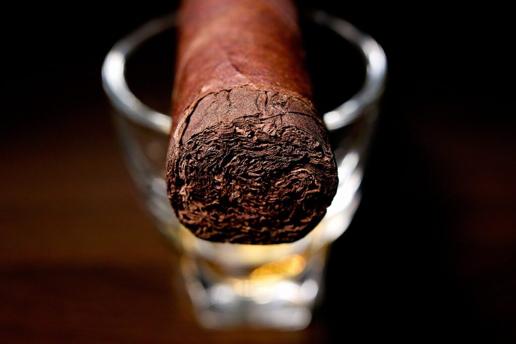 タトゥアヘ ヌエビタス ヒバロ No.1/Tatuaje Nuevitas Jibaro No.1 Cigar Review｜葉巻/シガー初心者の喫煙レビューブログ｜ギャラリー5