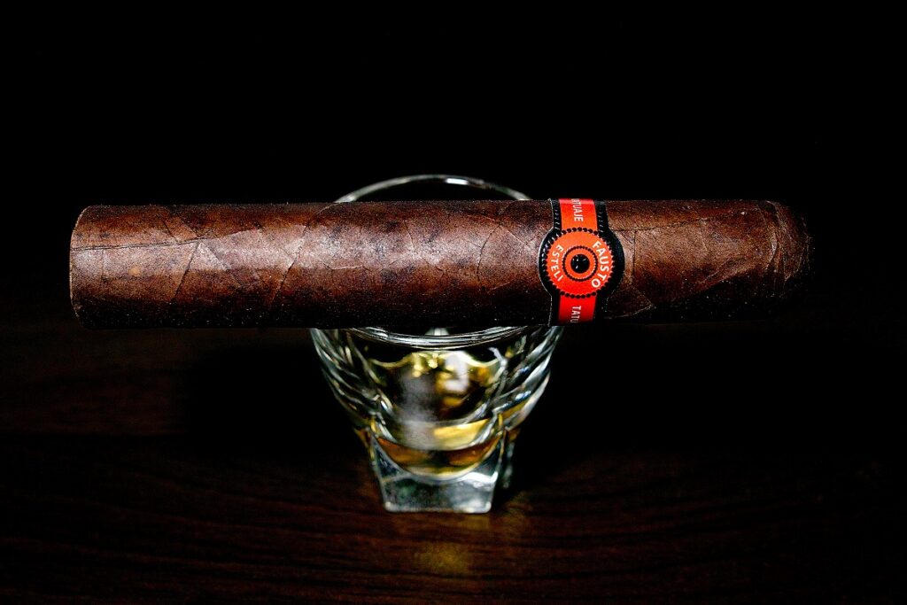 タトゥアヘ ファウスト FT127/Tatuaje Fausto FT127 Cigar Review|葉巻/シガー初心者の喫煙レビューブログ|ギャラリー1