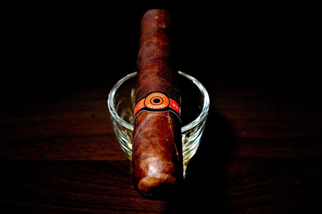 タトゥアヘ ファウスト FT127/Tatuaje Fausto FT127 Cigar Review｜葉巻/シガー初心者の喫煙レビューブログ｜ギャラリー3