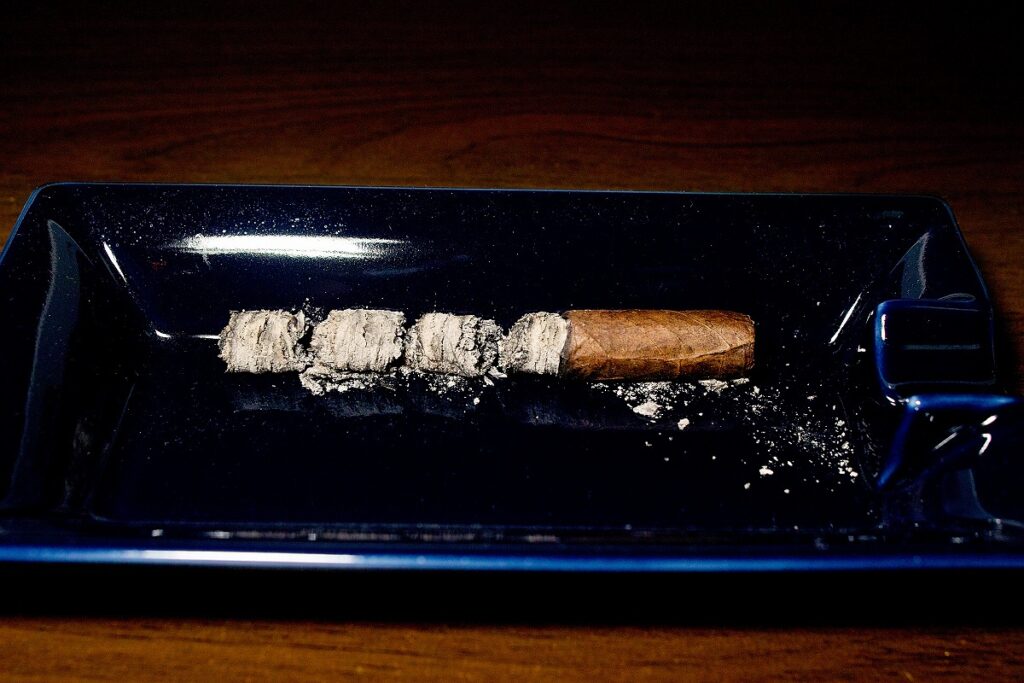アルトゥーロ・フエンテ グランレゼルバ レインフォレスト デライト/Arturo Fuente Gran Reserva Rainforest Delight Cigar Review|葉巻/シガー初心者の喫煙レビューブログ|喫煙終了後ファイナルアッシュ