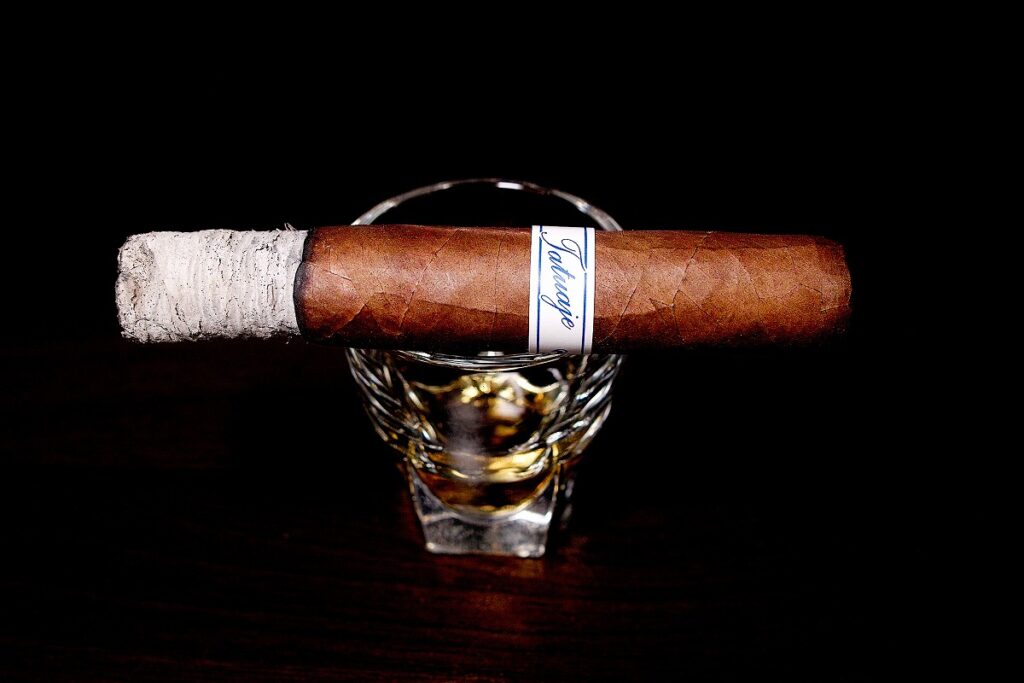 タトゥアヘ セリーP ホンジュラス ロブスト/Tatuaje Series P Honduras Robusto Cigar Review|葉巻/シガー初心者の喫煙レビューブログ|喫煙序盤の終わり頃ファーストサード