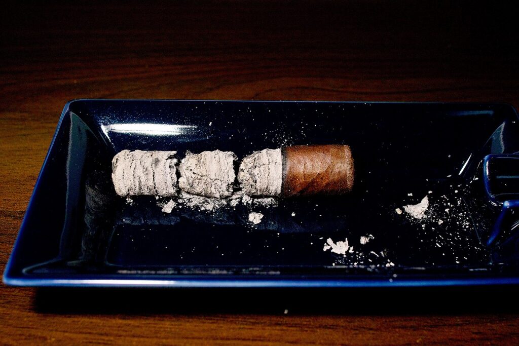 ミロ ショートロブスト/Kuuts Miro Short Robusto Cigar Review｜葉巻/シガー初心者の喫煙レビューブログ｜喫煙終了後ファイナルアッシュ