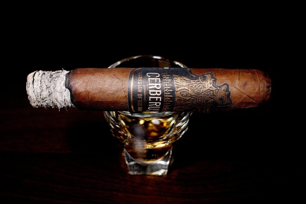 ガーディアン・オブ・ザ・ファーム ケルベロス ロブスト/Guardian of the Farm Cerberus Robusto Cigar Review|葉巻/シガー初心者の喫煙レビューブログ|喫煙序盤の終わり頃ファーストサード