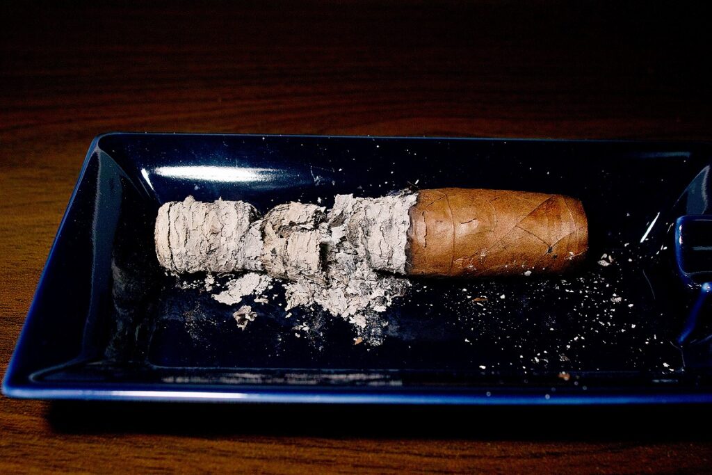 ガーディアン・オブ・ザ・ファーム ケルベロス ロブスト/Guardian of the Farm Cerberus Robusto Cigar Review|葉巻/シガー初心者の喫煙レビューブログ|喫煙終了後ファイナルアッシュ
